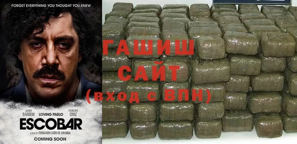 шишки Няндома