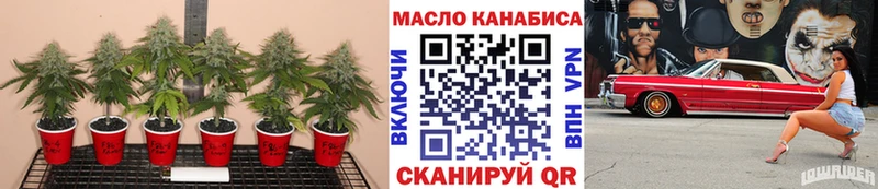 Дистиллят ТГК концентрат  мориарти наркотические препараты  Рузаевка 