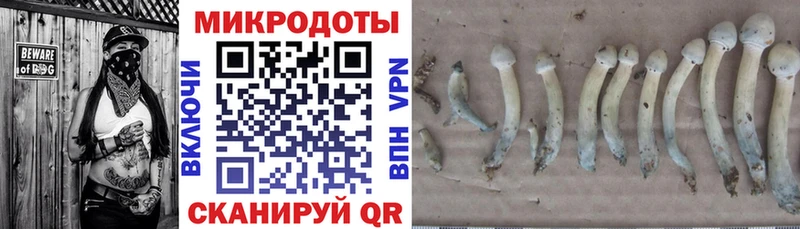 ссылка на мегу как зайти  Рузаевка  Галлюциногенные грибы прущие грибы 
